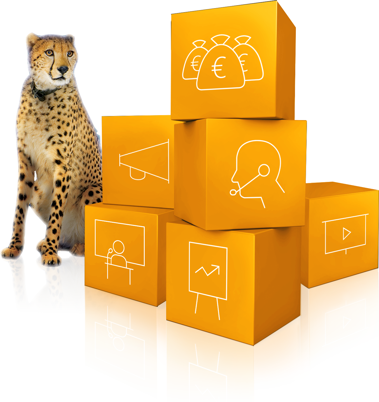 Vorteile einer Partnerschaft mit sipcall